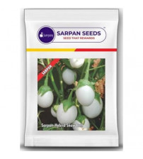 Brinjal Sarpan Snowball 20 grams